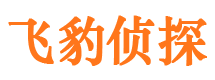 青岛市私家侦探